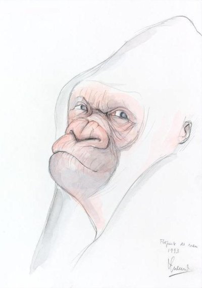 Dibuix del goril·la albí Floquet de Neu